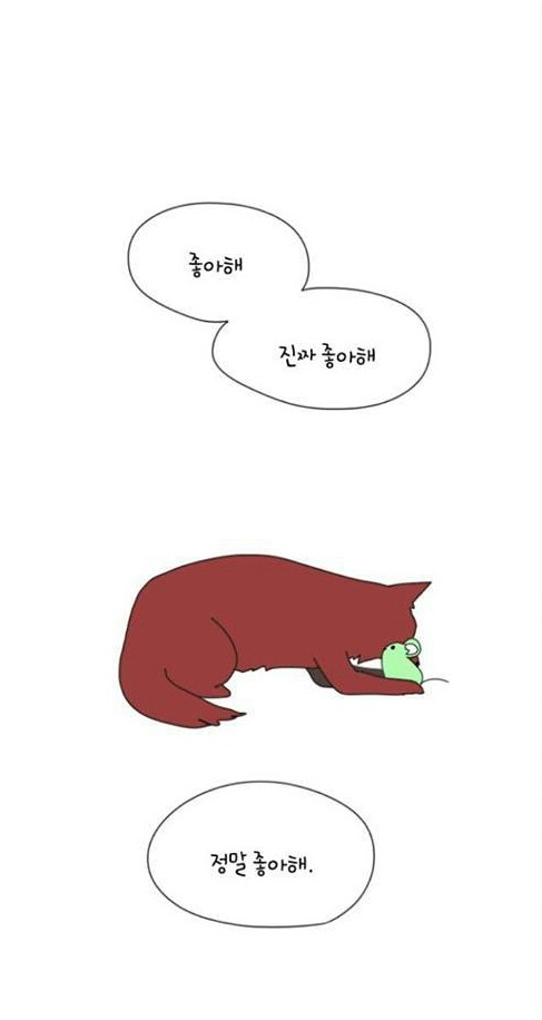 좋아해 | 인스티즈
