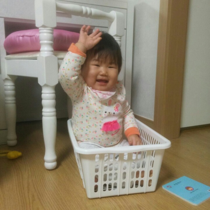 포포모모 이미지