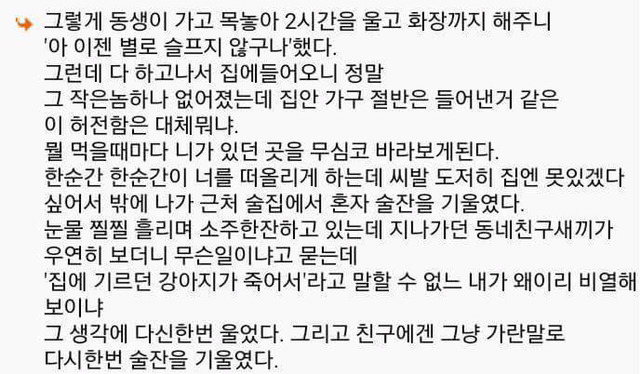 다시는 개 안 키운다 | 인스티즈