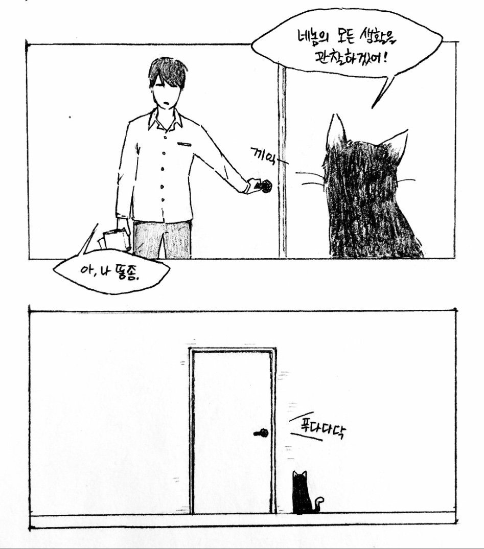 고양이와 동거하는 만화 | 인스티즈