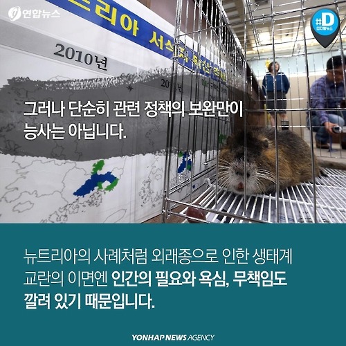 다시 관심받는 뉴트리아의 항변 .. | 인스티즈