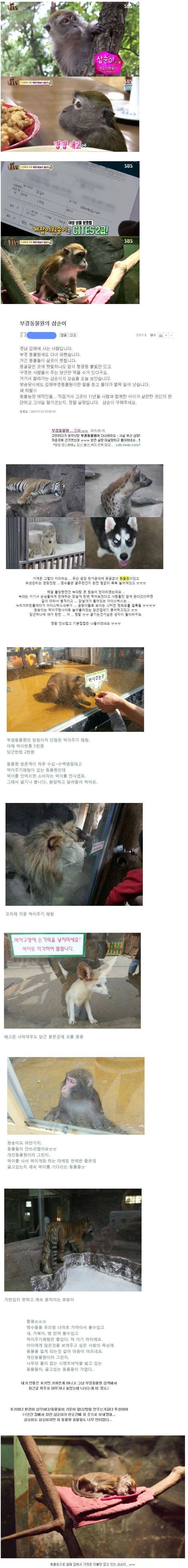 우리나라 어느 동물원의 실태 | 인스티즈