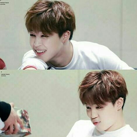 아가미 이미지