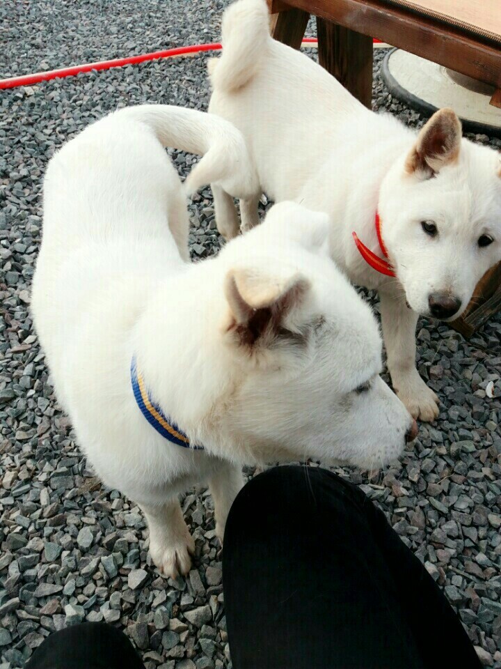 피해자만 고통받고 상처받고 괴로워야하는 이상한 나라에서 저는 피해자가 되었습니다(매실이이야기) | 인스티즈