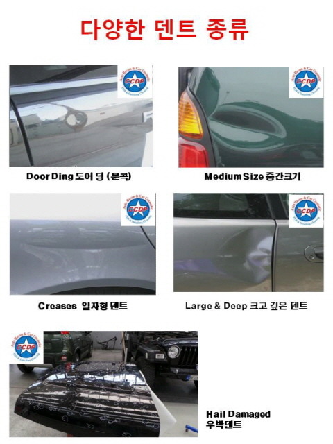 씨씨디피 이미지
