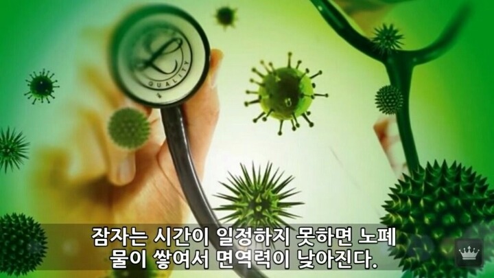 사람이 잠을 안자면 일어나는 현상 | 인스티즈