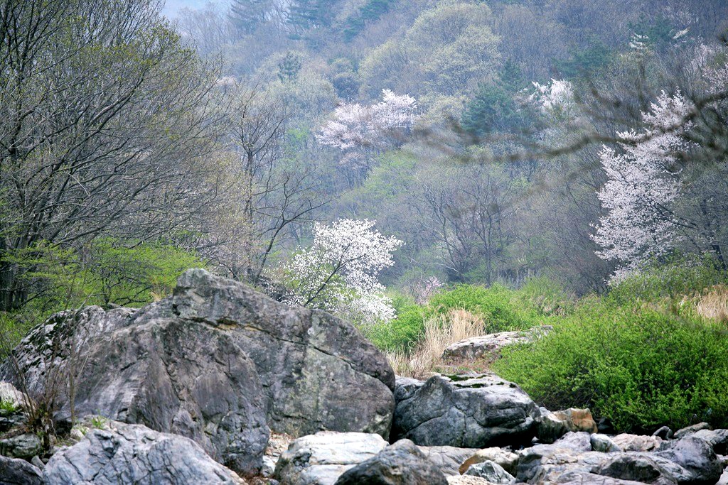 자연속의풍경 이미지