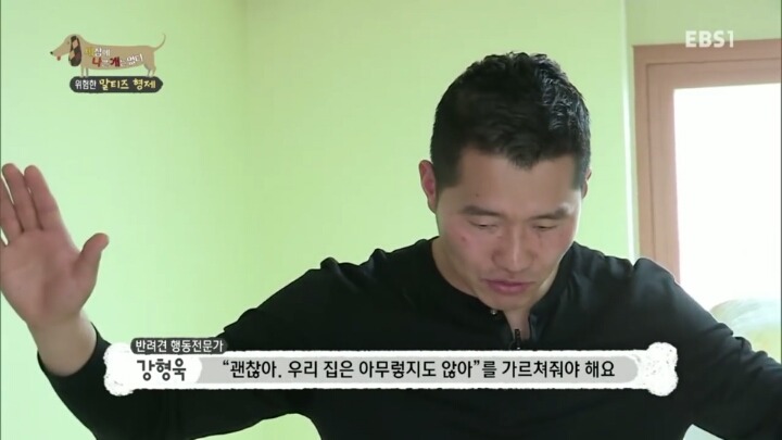 공격적인 반려견이 되는 이유 2부.jp | 인스티즈