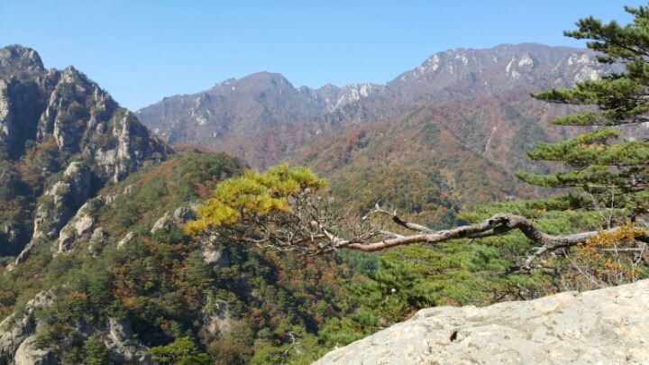 망경대 이미지