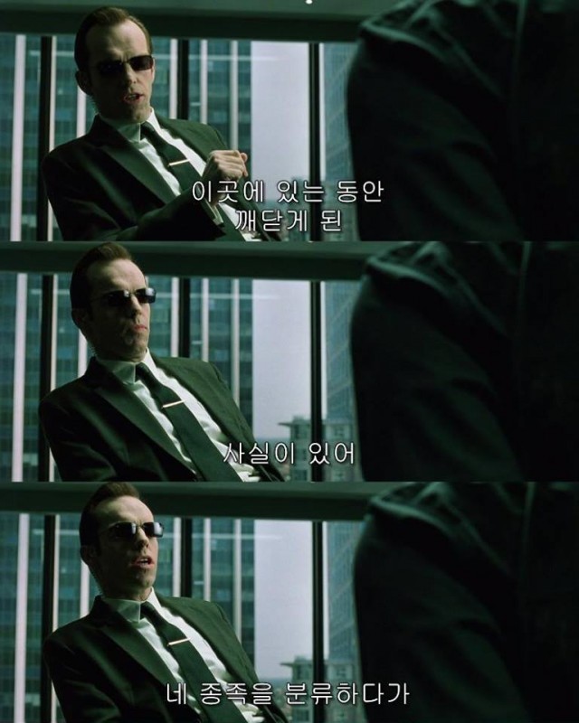메이가 싸우는 이유.jpg | 인스티즈