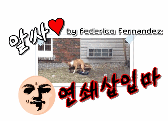 브이앱 트와이스 채영.gif | 인스티즈