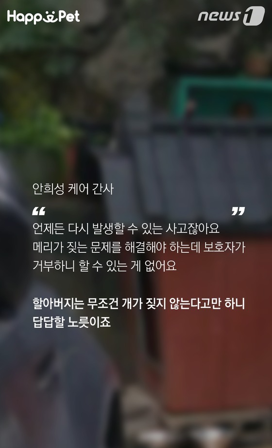 흑석동 강아지 염산테러사건의 전말 | 인스티즈