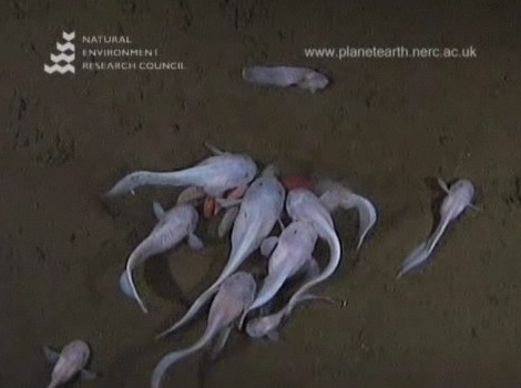 바다속이야기 이미지