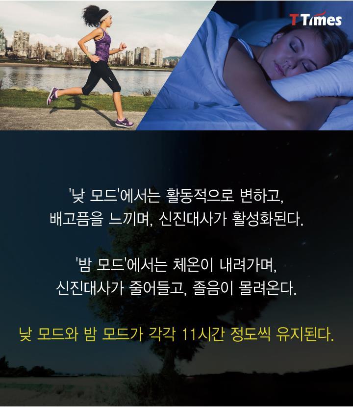 현대인은 잠이 부족한게 아니라 어둠이 부족하다 | 인스티즈