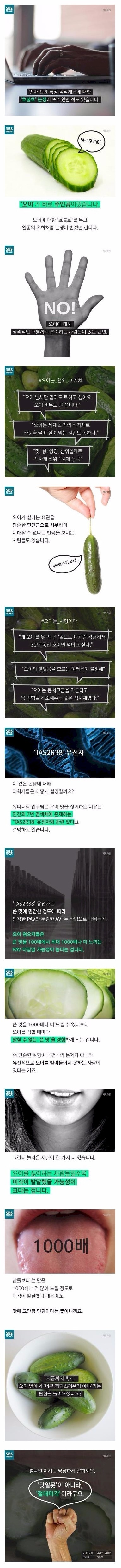 오이를 못 먹는 이유 | 인스티즈