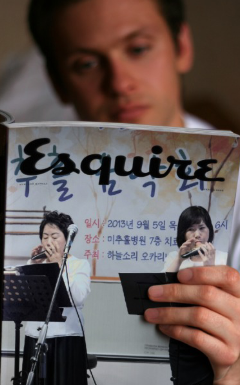 노랑병아리 이미지