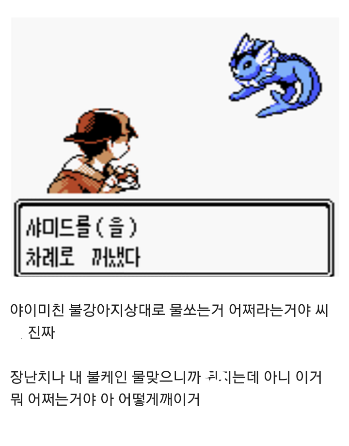 포켓몬스터 골드버전 잘못받아서 생긴 일 | 인스티즈