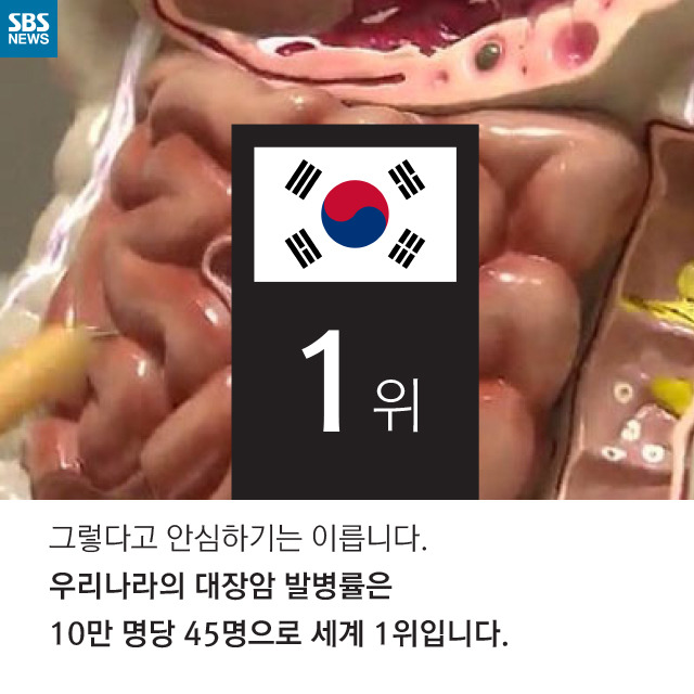 소시지는 암을 유발한다(?) | 인스티즈