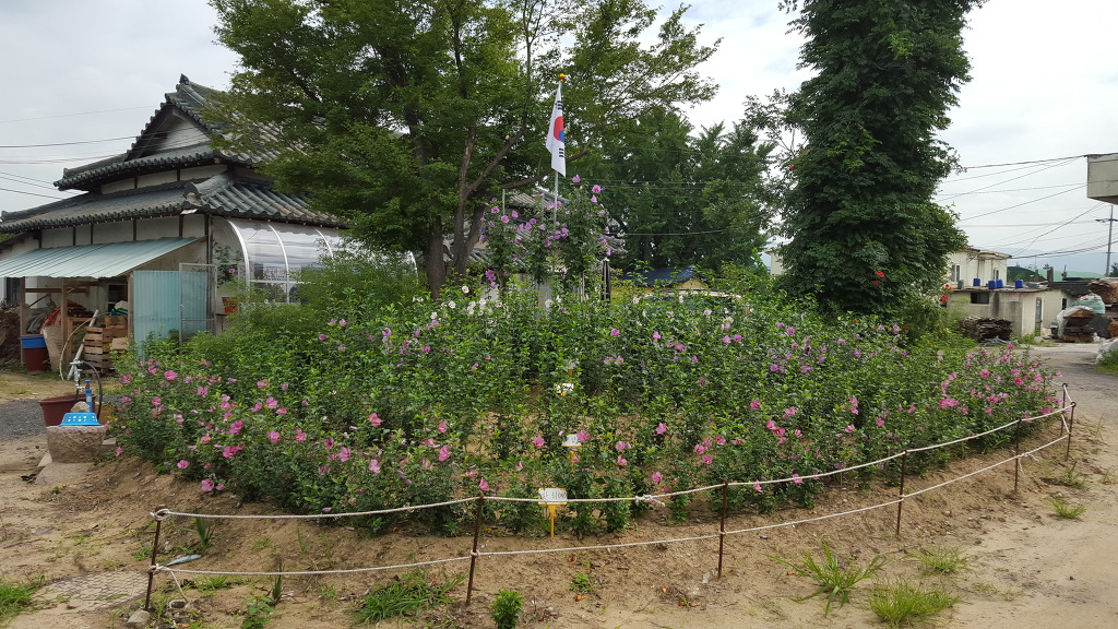 2532853955AD38D7124FD3