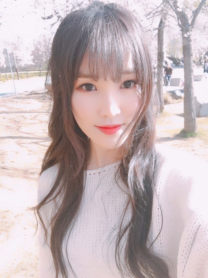 시요 이미지