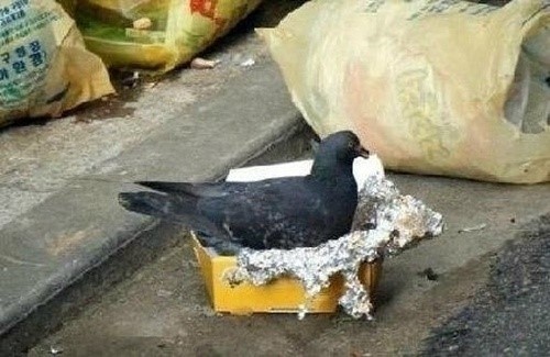 영웅은 죽지않아요 | 인스티즈