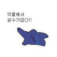 잡다구리한 웃짤 모음 1탄 (feat.무한도전) | 인스티즈