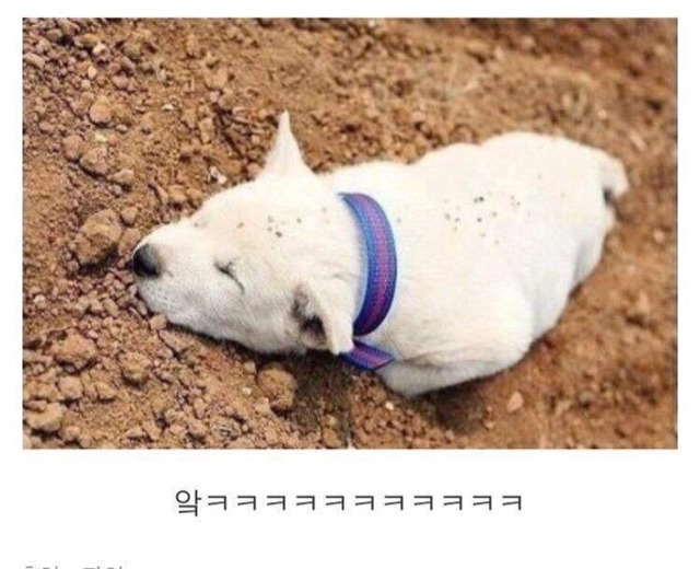 쿨하게 그냥 뿌리심 ㅋㅋㅋㅋㅋ | 인스티즈