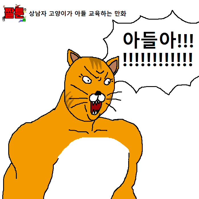 상남자 고양이의 아들 교육법 | 인스티즈