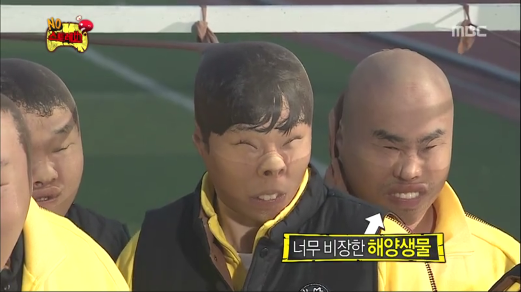 육지로 올라온 성난 해양생물과 너무 비장한 해양생물 | 인스티즈