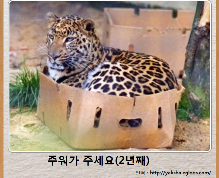 믿고보는 제목학원 | 인스티즈
