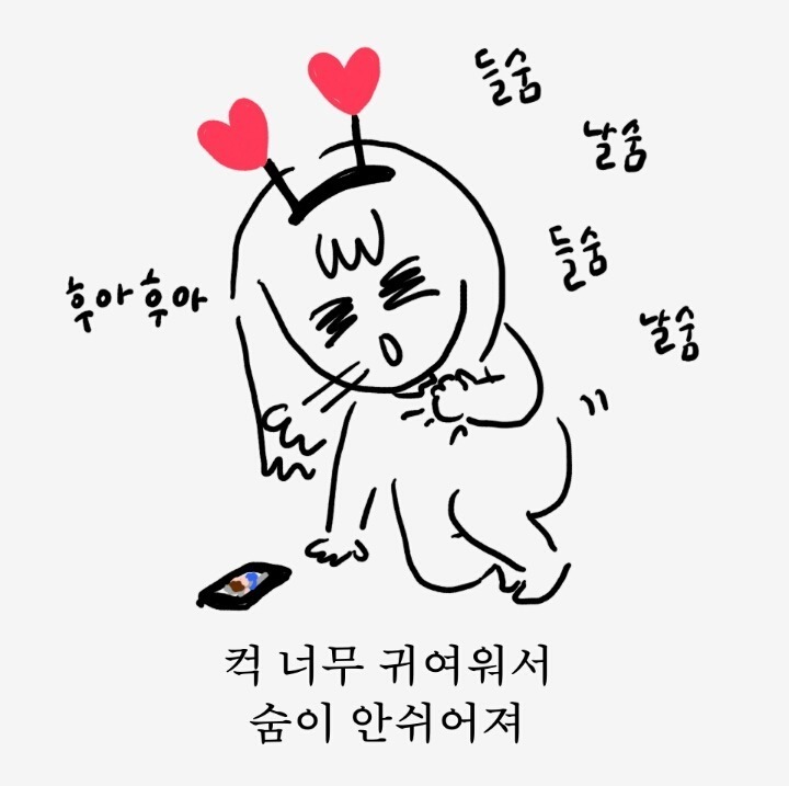 새끼 고양이와 올빼미.JPG | 인스티즈