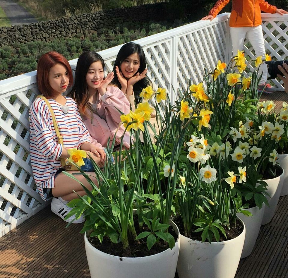[트와이스] 라인정리 아홉번째 -급식단- | 인스티즈