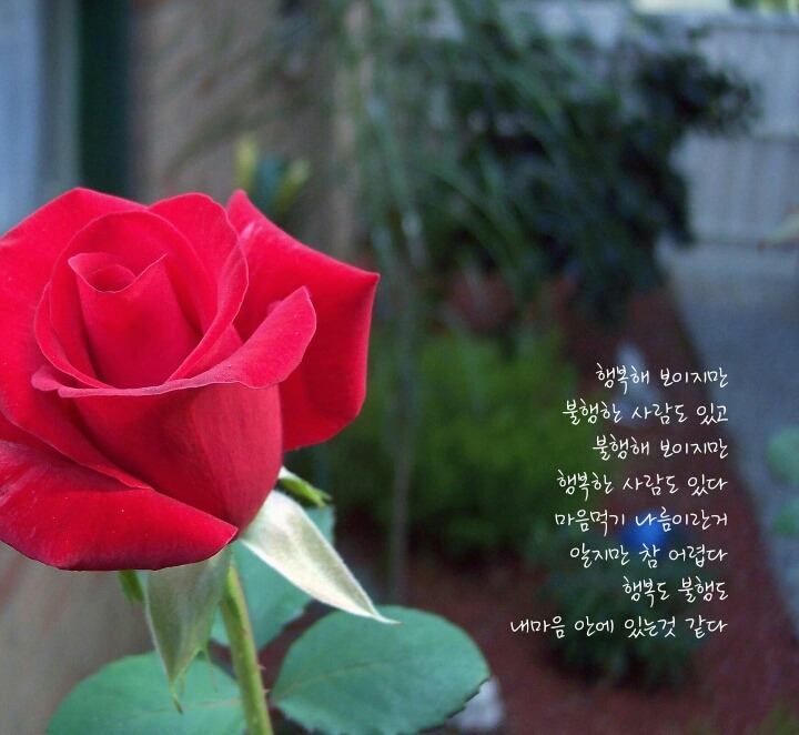 마니또 이미지