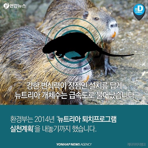 다시 관심받는 뉴트리아의 항변 .. | 인스티즈