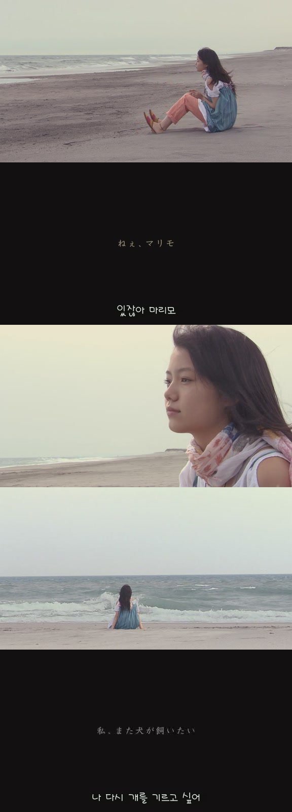 강아지의 삶 | 인스티즈