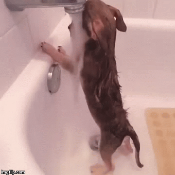 사랑했다...gif | 인스티즈