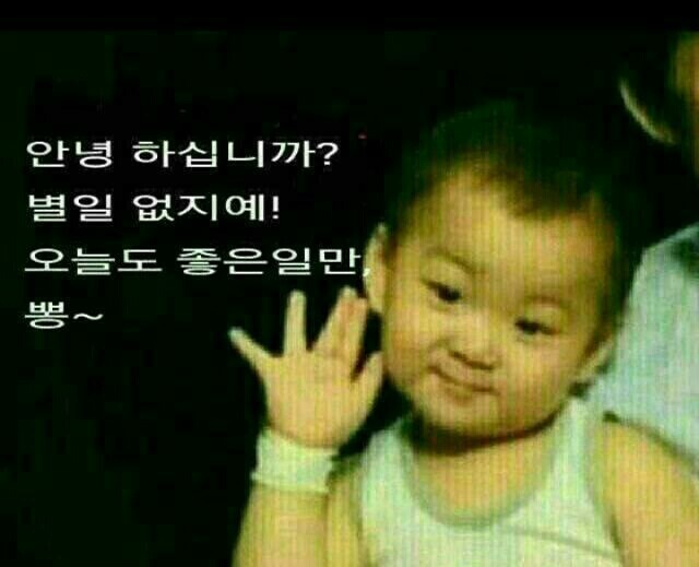 337쭈꾸미 이미지