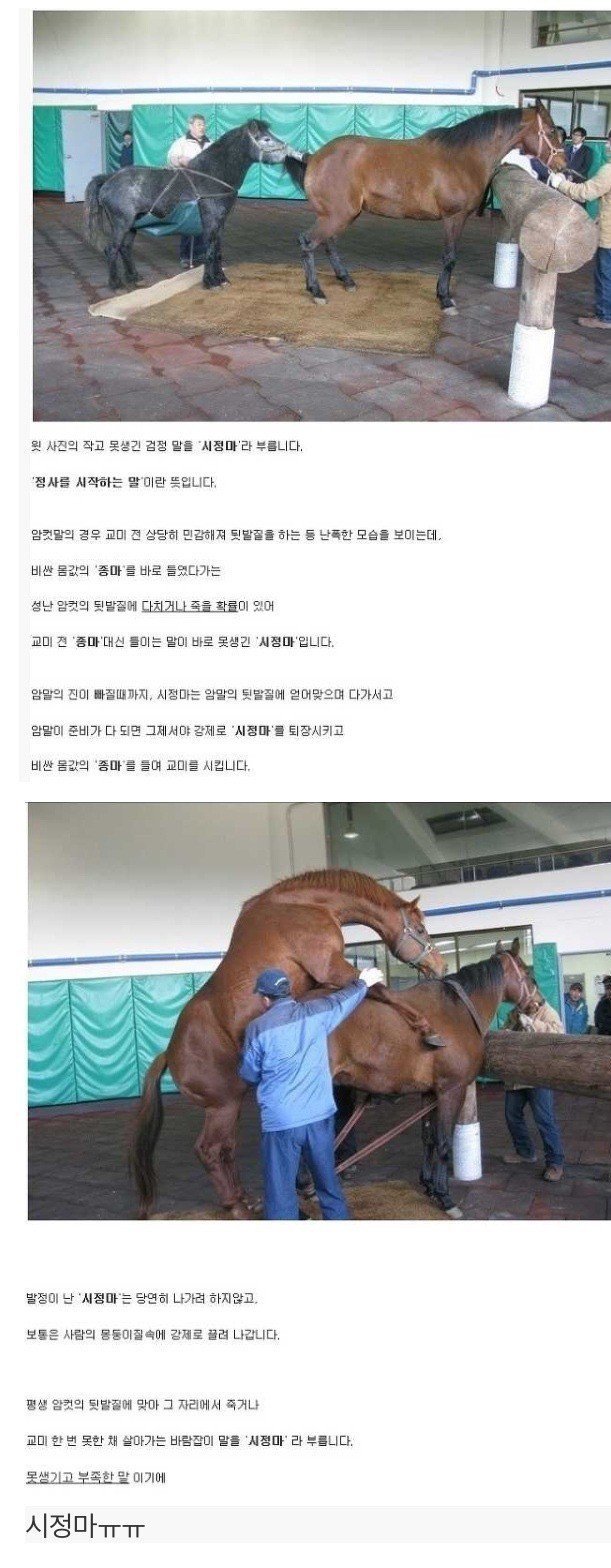 못생겨서 성관계 못하는 경우 甲.jpg | 인스티즈