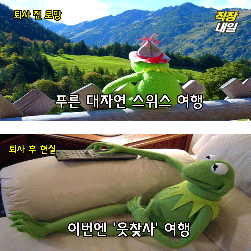 직장인 개구리가 퇴사를 해보았다(팩트폭행 주의) | 인스티즈