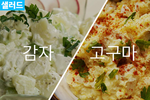 감자vs고구마 당신의선택은? | 인스티즈