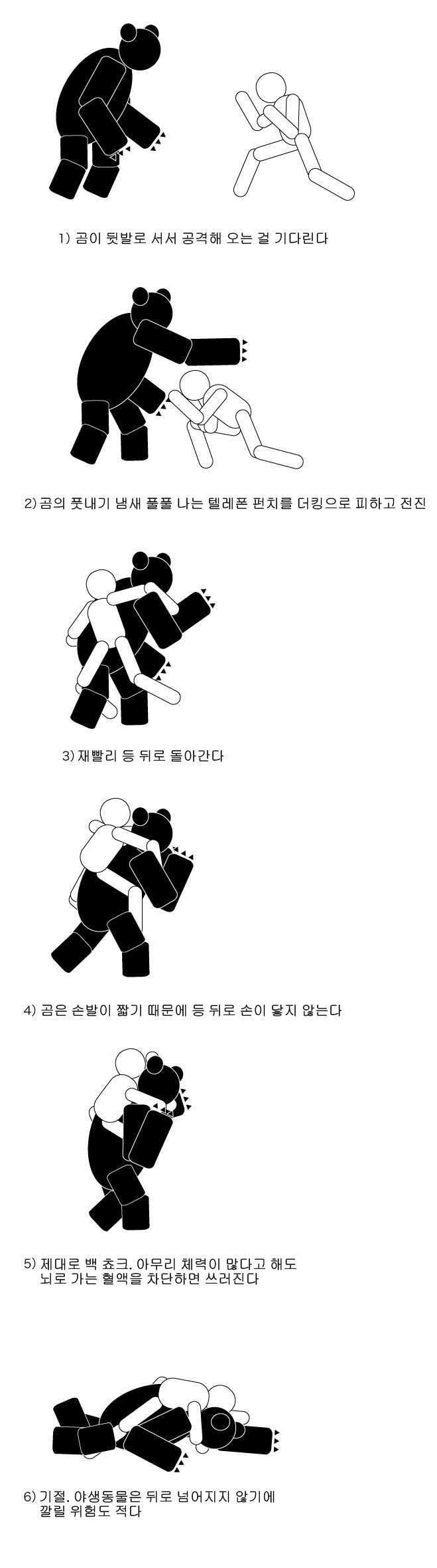 곰 쉽게 잡는방법 | 인스티즈