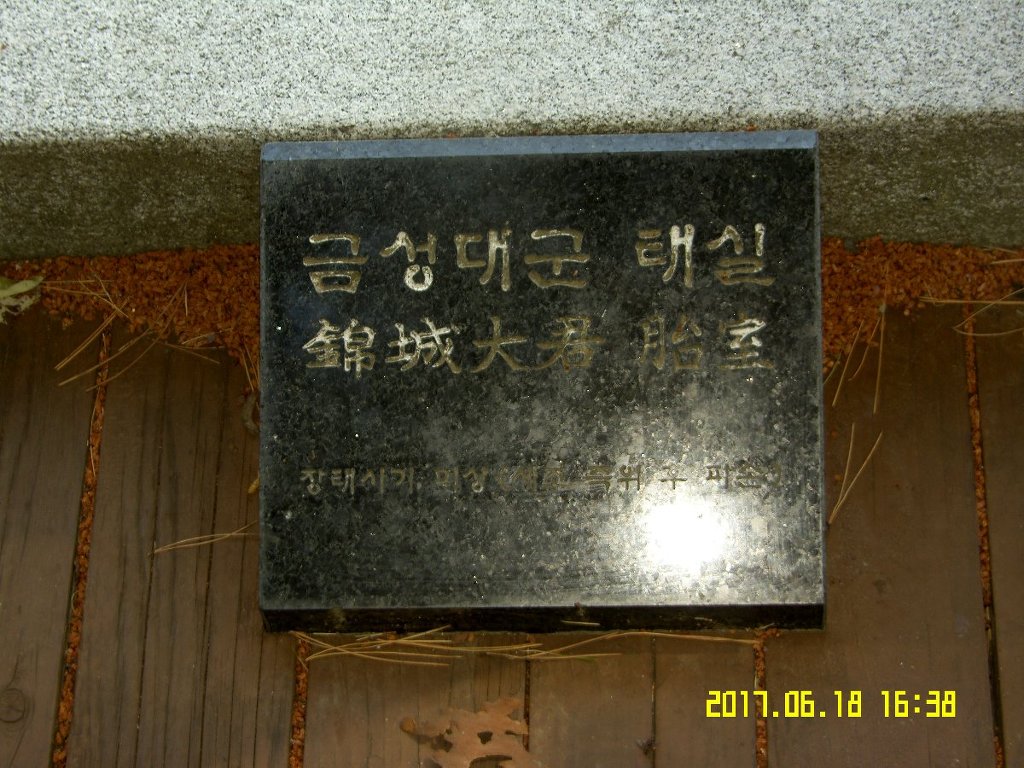 금성석물 이미지