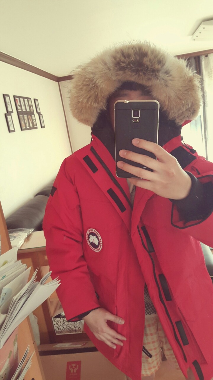 쪼랑말 이미지