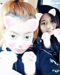 트와이스) 오늘 등교하는 다현 쯔위 움짤(인스타) | 인스티즈