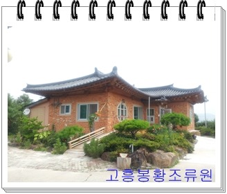올수록 이미지
