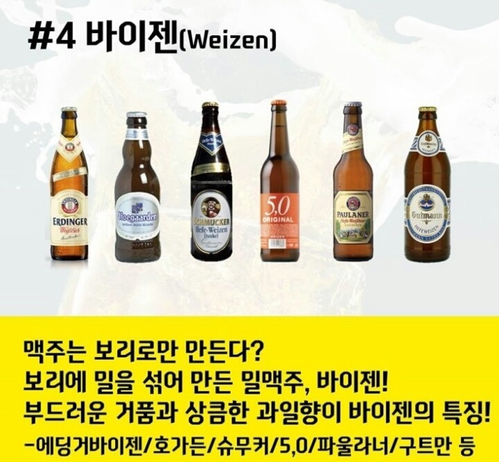맥주의 세계.jpg | 인스티즈