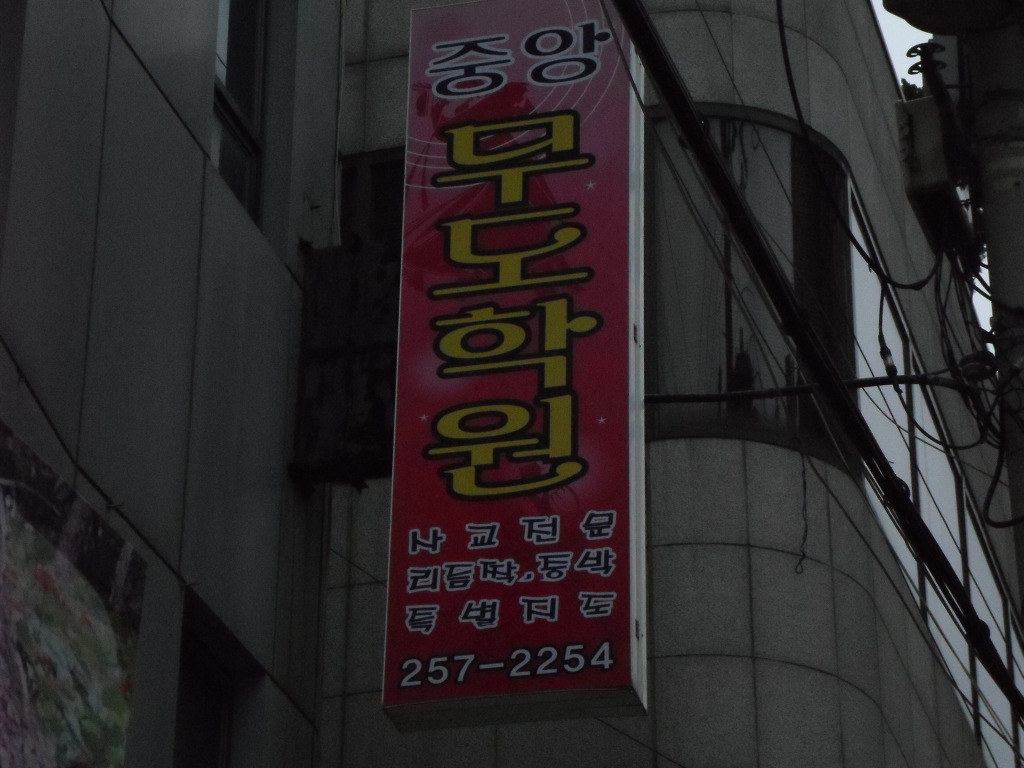 중앙무도학원 이미지
