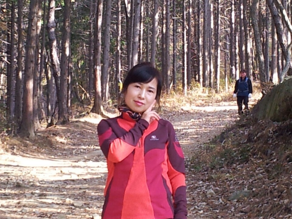 청선 이미지