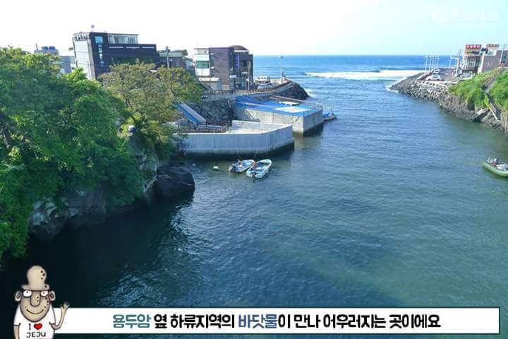 오작교 이미지