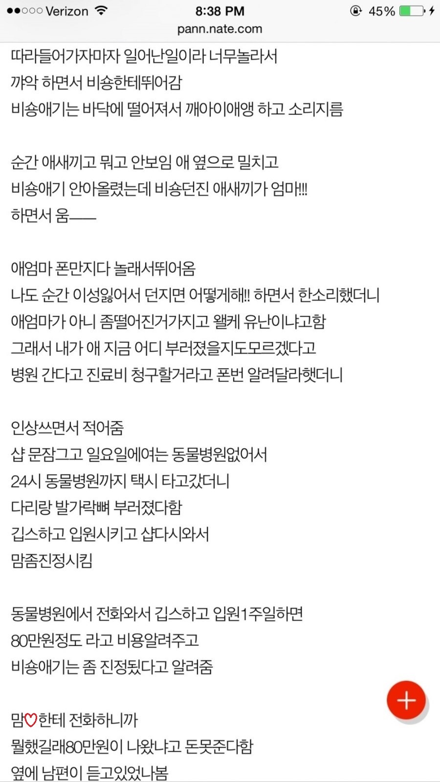 애견샾 운영하는 30대 여자의 딥빡 | 인스티즈